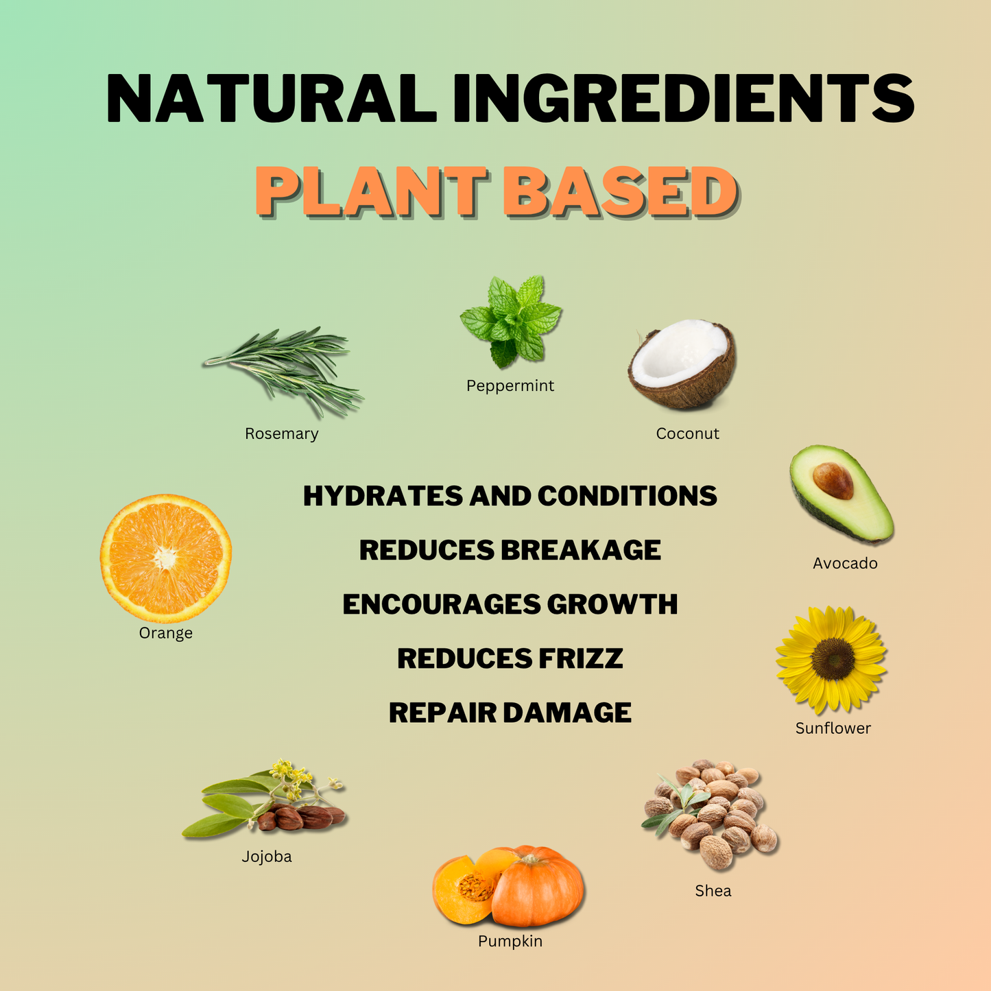 Natural plant-based ingredients in Coily Gurls products