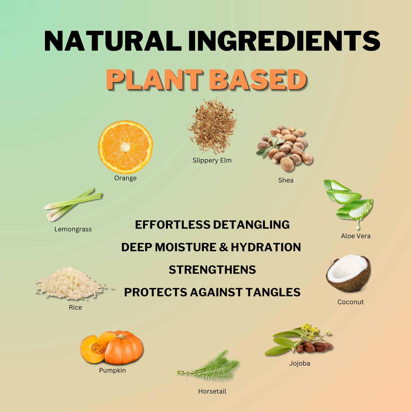 Natural plant-based ingredients in Coily Gurls products