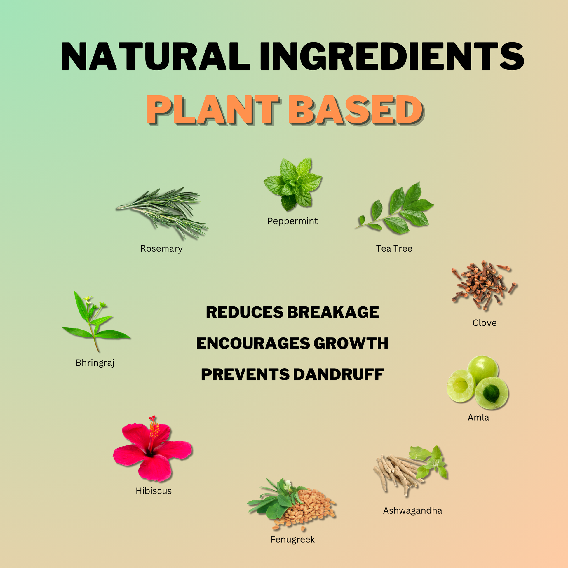 Natural plant-based ingredients in Coily Gurls products