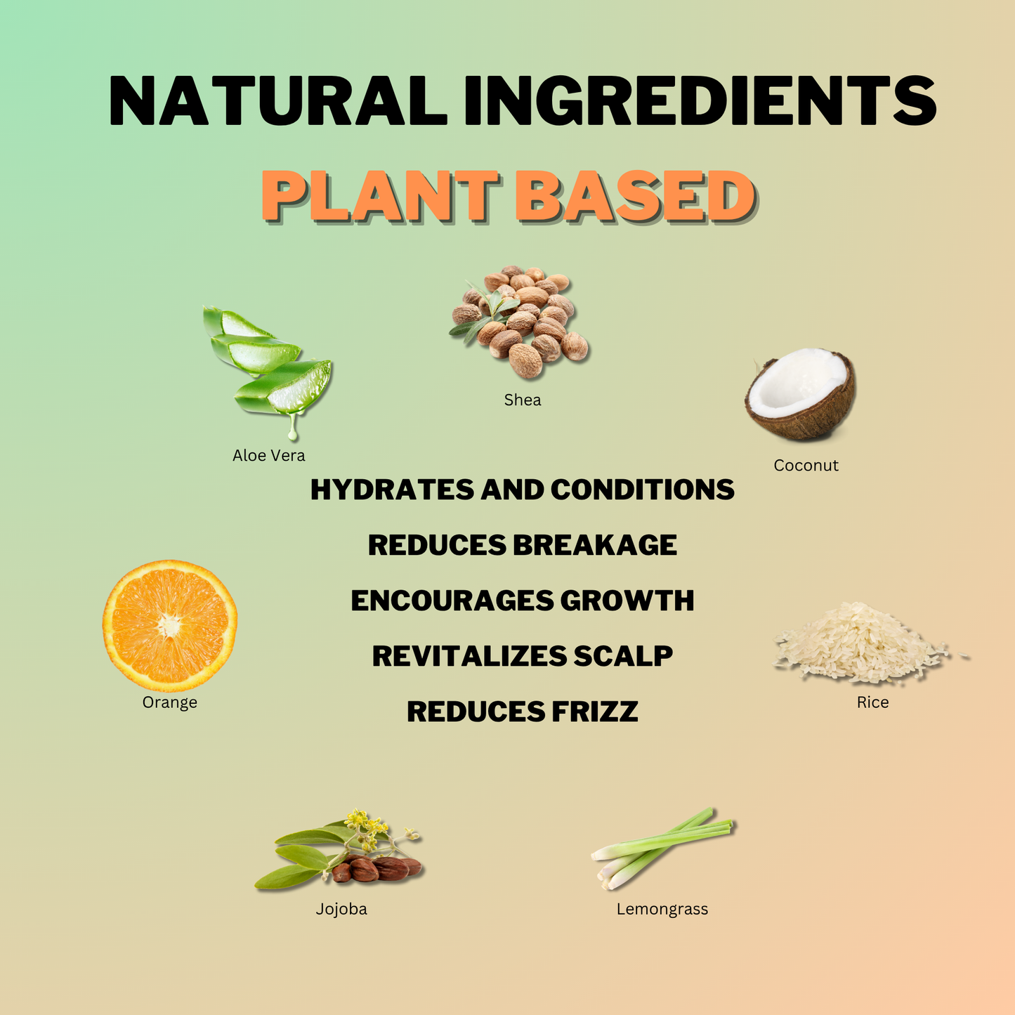 Natural plant-based ingredients in Coily Gurls products