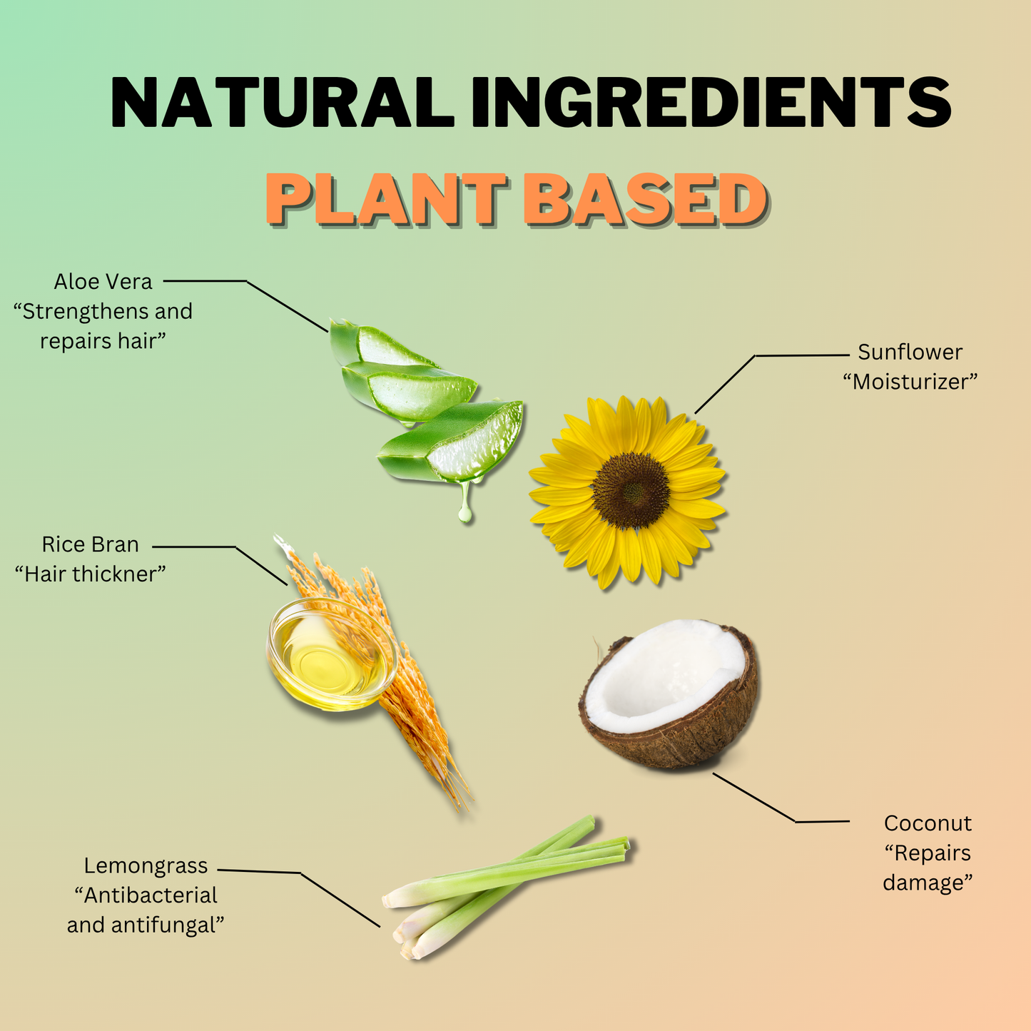 Natural plant-based ingredients in Coily Gurls products