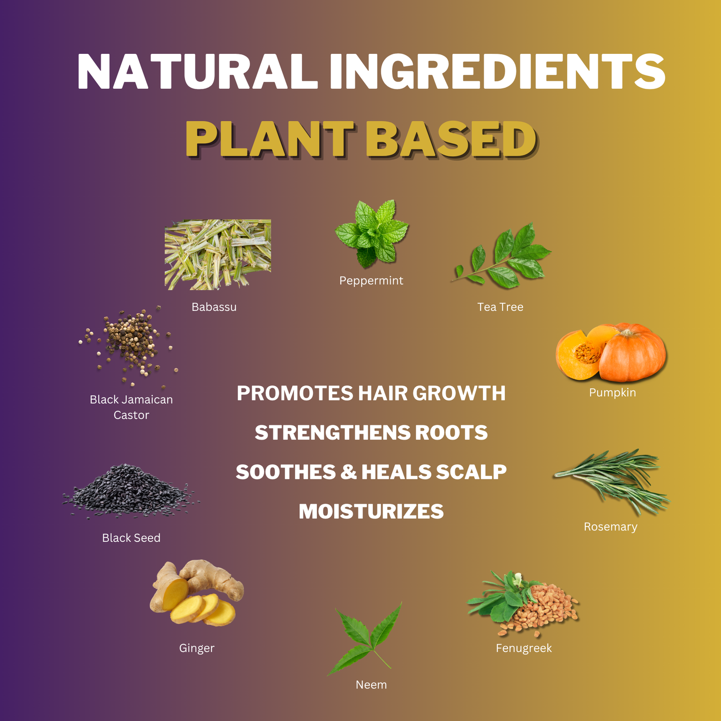 Natural plant-based ingredients in Coily Gurls products