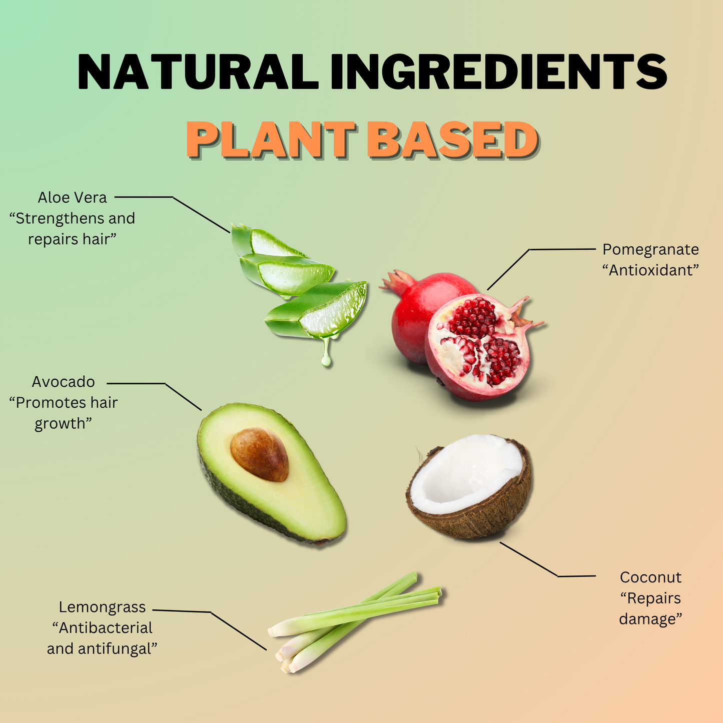 Natural plant-based ingredients in CoilyGurls products