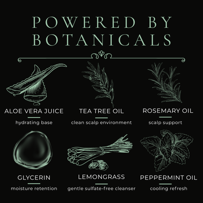 Clarifying Shampoo