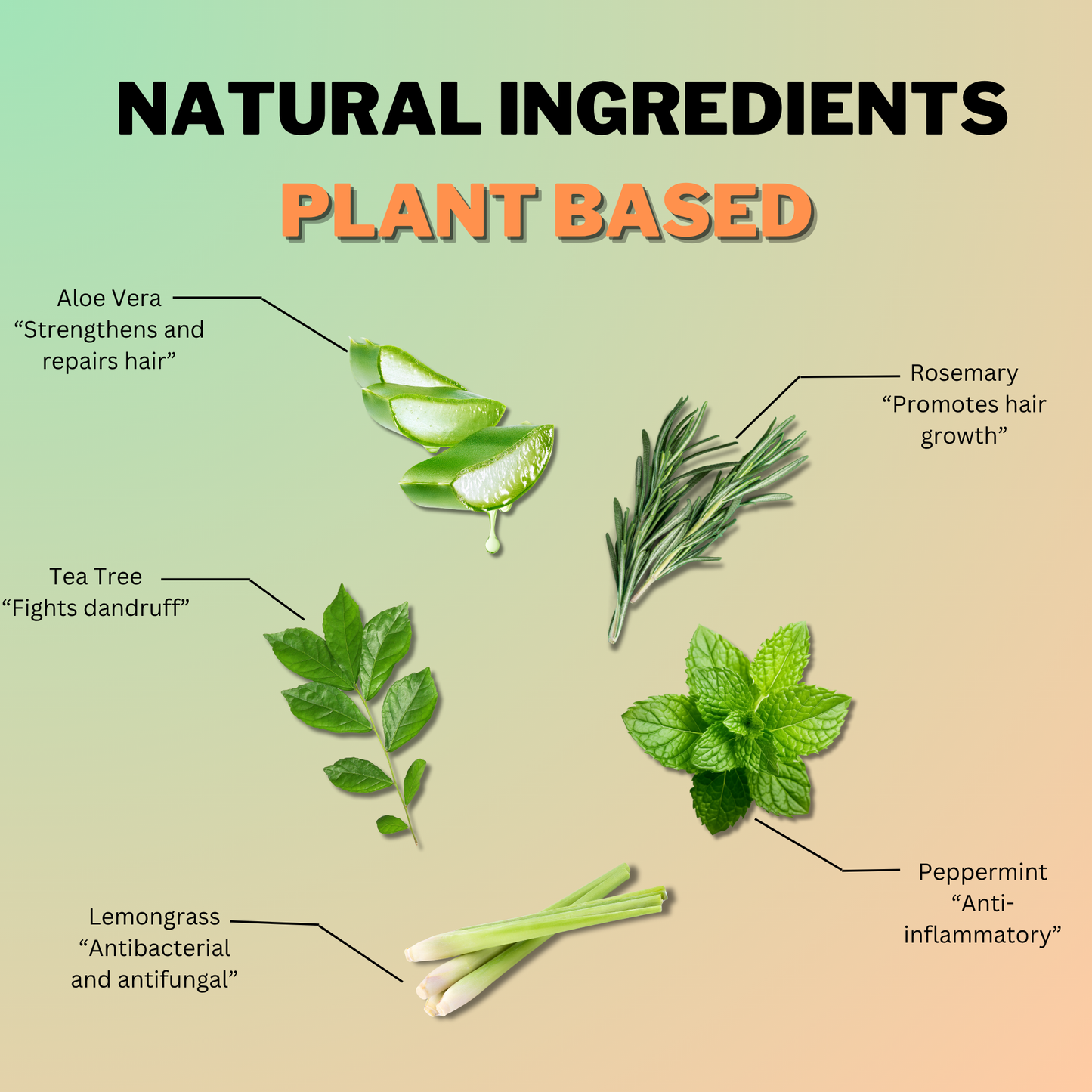 Aloe Vera Clarifying Shampoo