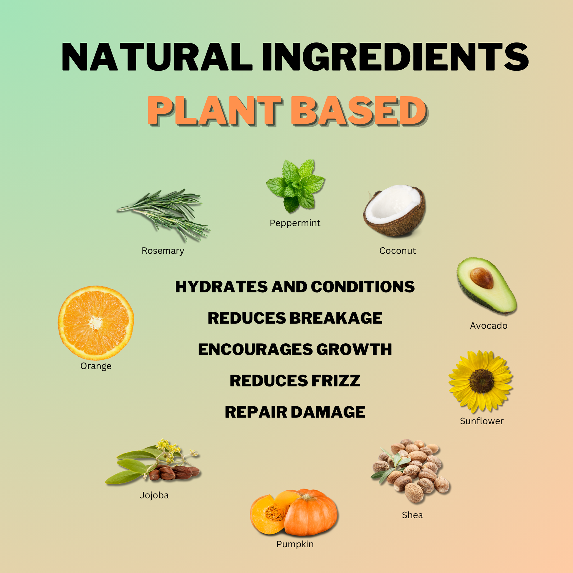 Natural plant-based ingredients in Coily Gurls products