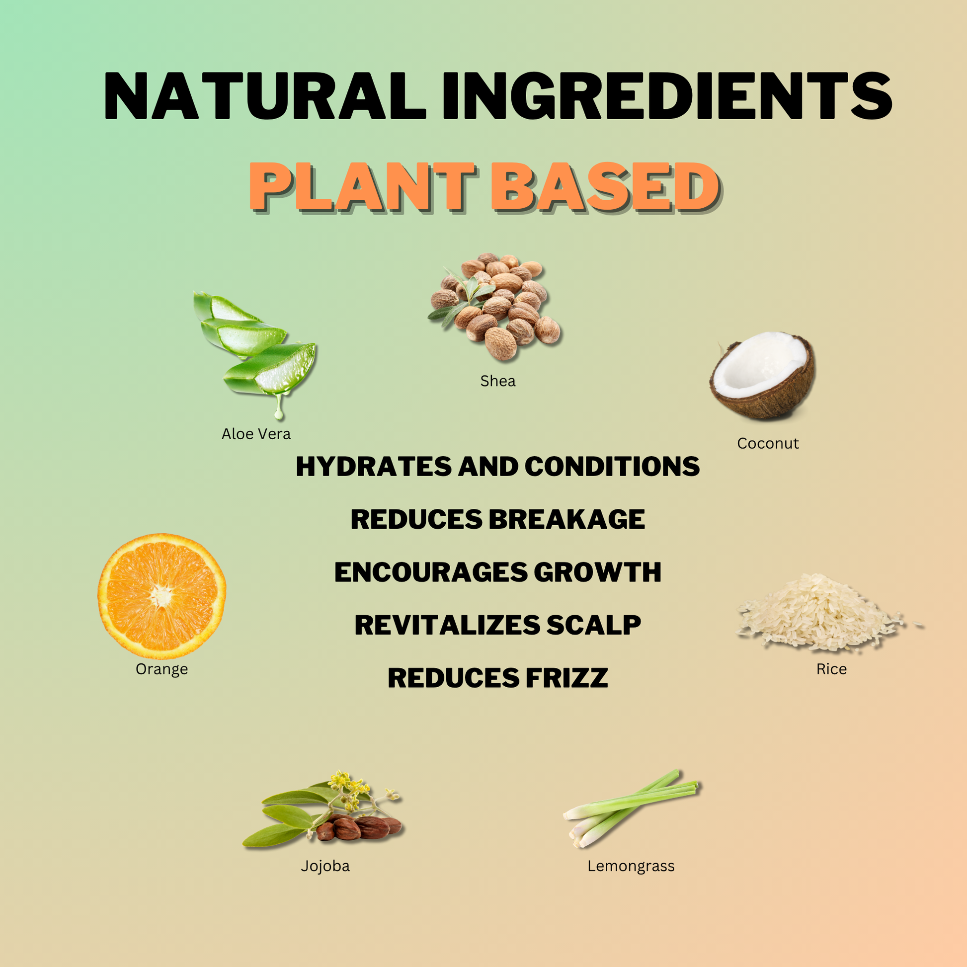 Natural plant-based ingredients in Coily Gurls products