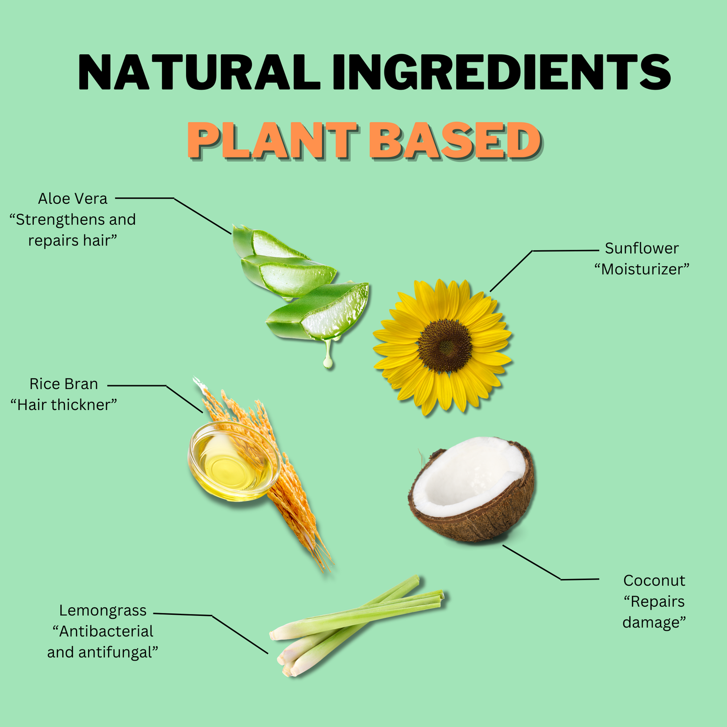 Aloe Vera Replenishing Conditioner