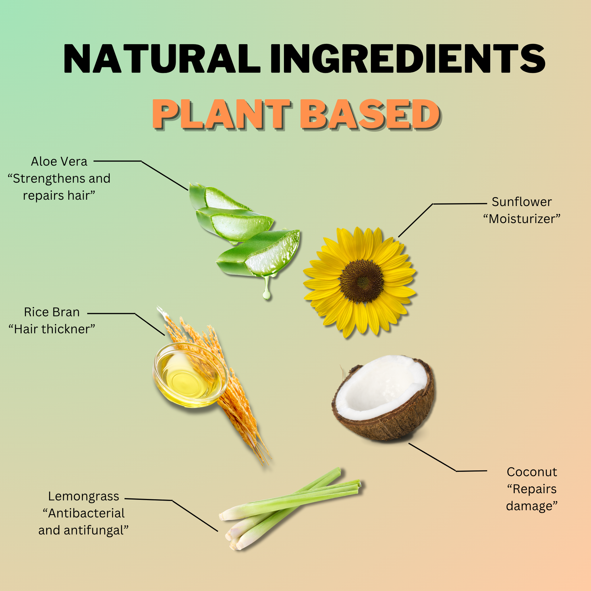 Natural plant-based ingredients in Coily Gurls products